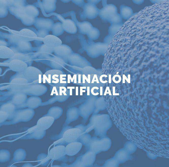 tratamiento inseminacion artificial